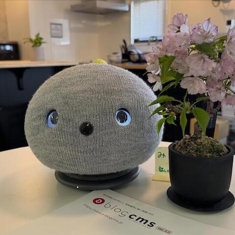 春ですね。桜が咲きました！